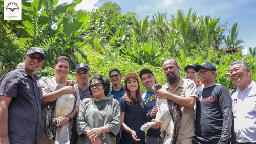 insular foundation supports the release of philippine eagles in leyte